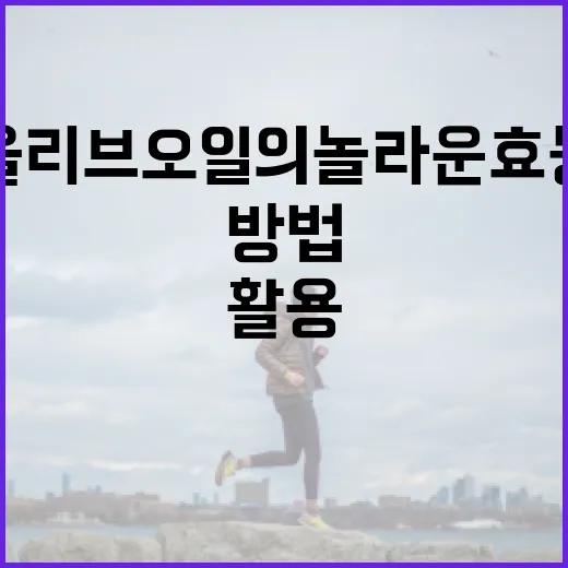 올리브오일의 놀라운 효능을 최대한 활용하는 방법 - 요약