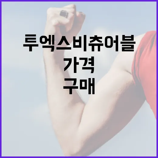 투엑스비 츄어블 가격을 이해하고 최적의 구매 방법 찾기 - 요약