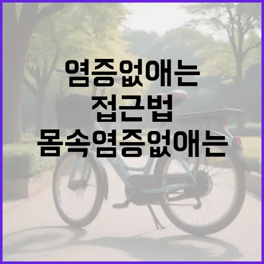 몸속 염증 없애는 방법: 자연스러운 접근법 - 요약