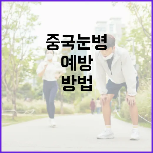 중국 눈병을 예방하는 방법 - 요약