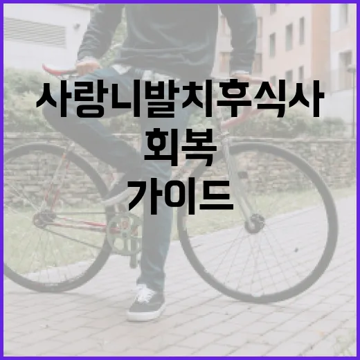 사랑니 발치 후 식사 가이드: 건강하게 회복하는 방법 - 요약