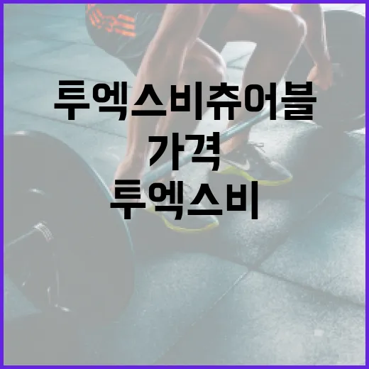 투엑스비 츄어블 가격을 알아보고 최대한 활용하는 방법 - 요약