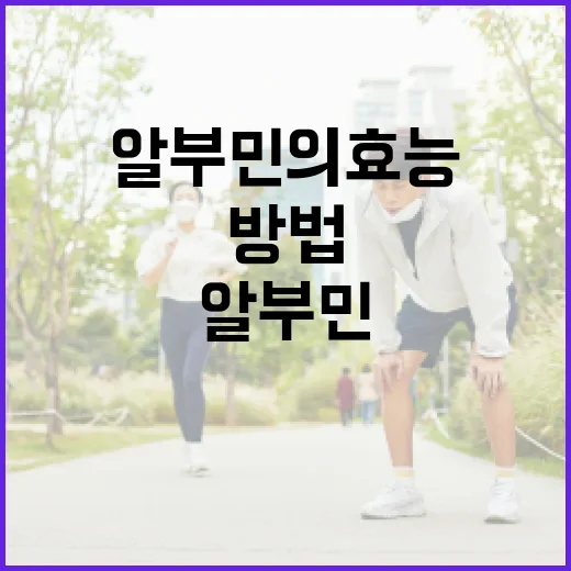알부민의 효능을 극대화하는 방법 - 요약