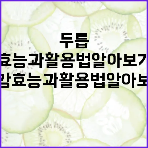 두릅의 건강 효능과 활용법 알아보기 - 요약