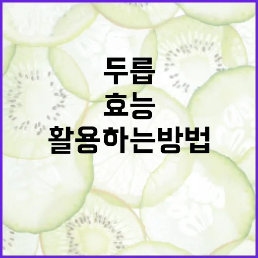 두릅의 효능을 최대한 활용하는 방법 - 요약