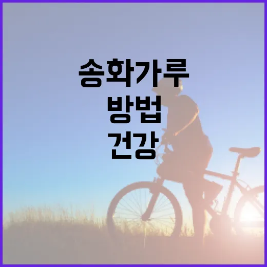 송화가루를 활용한 건강 개선 방법 - 요약