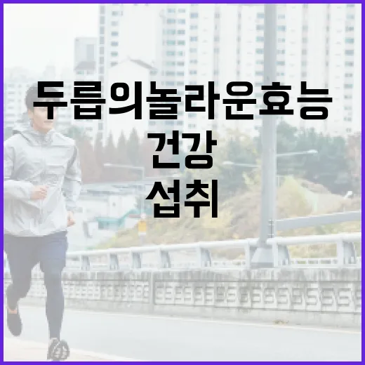 두릅의 놀라운 효능과 건강하게 섭취하는 방법 - 요약