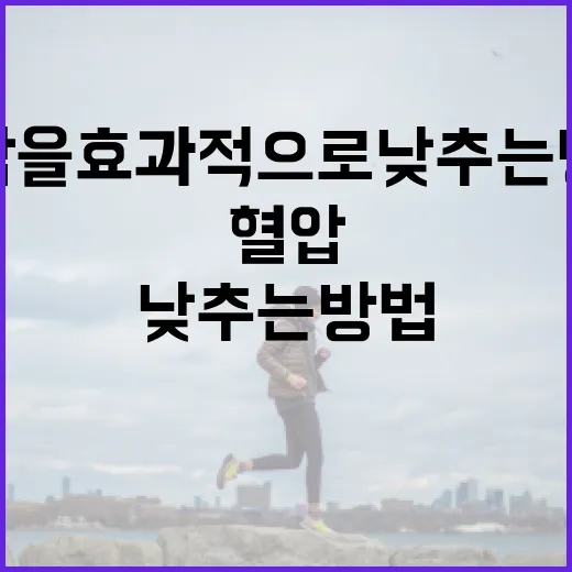 혈압을 효과적으로 낮추는 방법 - 요약