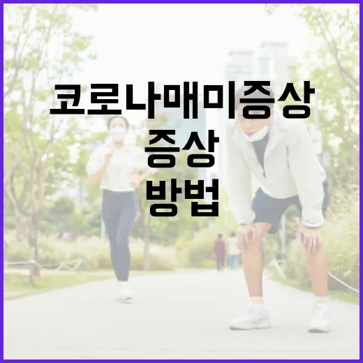 코로나 매미 증상을 이해하고 관리하는 방법 - 요약
