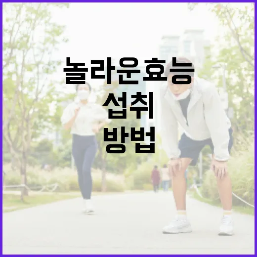 마그네슘의 놀라운 효능과 일상에서 쉽게 섭취하는 방법 - 요약