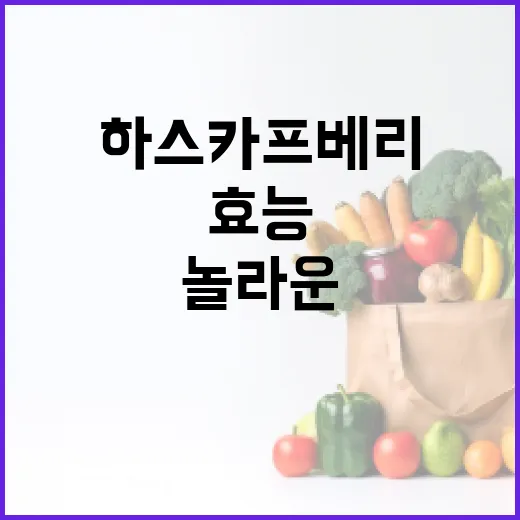 하스카프베리의 놀라운 효능을 아는 방법 - 요약