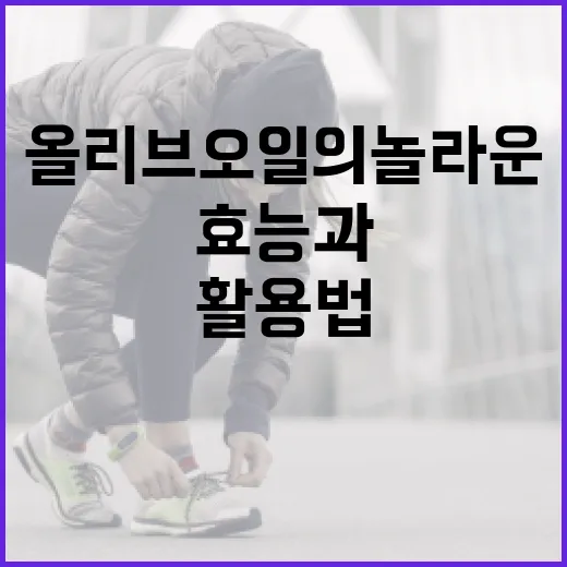 올리브오일의 놀라운 효능과 활용법 - 요약