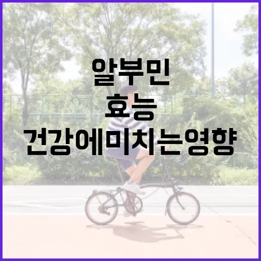 알부민의 효능과 건강에 미치는 영향 알아보기 - 요약