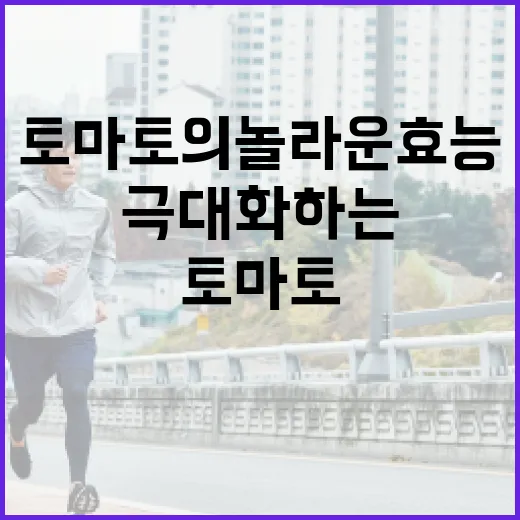 토마토의 놀라운 효능을 극대화하는 방법 - 요약