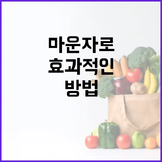 마운자로의 효과적인 활용 방법 - 요약