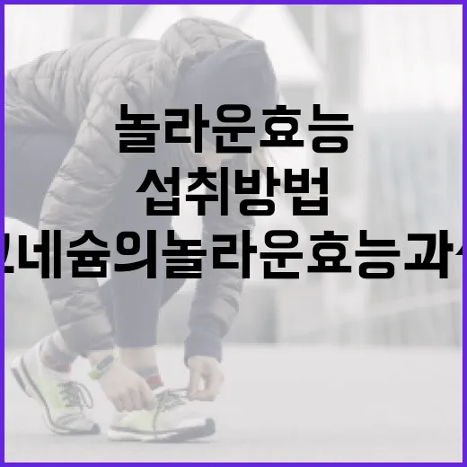 마그네슘의 놀라운 효능과 섭취 방법 - 요약