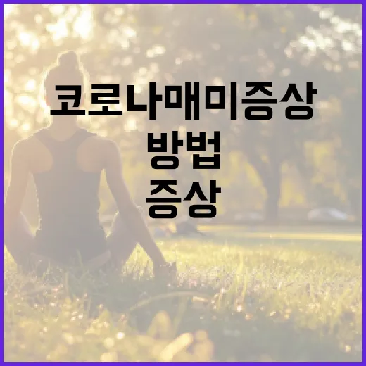 코로나 매미 증상 이해하기: 건강을 지키는 방법 - 요약