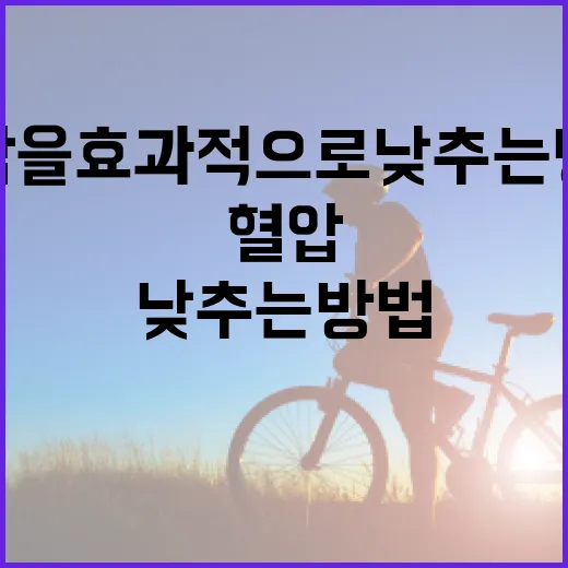 혈압을 효과적으로 낮추는 방법 - 요약