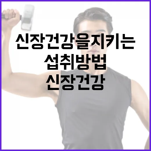 신장 건강을 지키는 음식 섭취 방법 - 요약