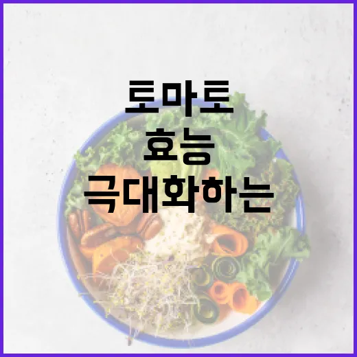 토마토의 효능을 극대화하는 방법 - 요약