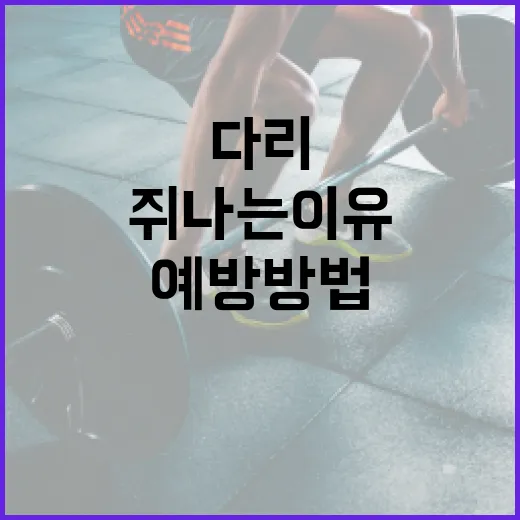 다리 쥐나는 이유와 예방 방법 - 요약