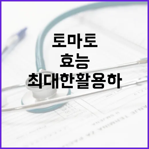 토마토의 건강 효능을 최대한 활용하는 방법 - 요약