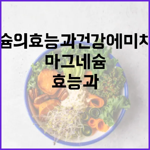 마그네슘의 효능과 건강에 미치는 영향을 알아보는 방법 - 요약