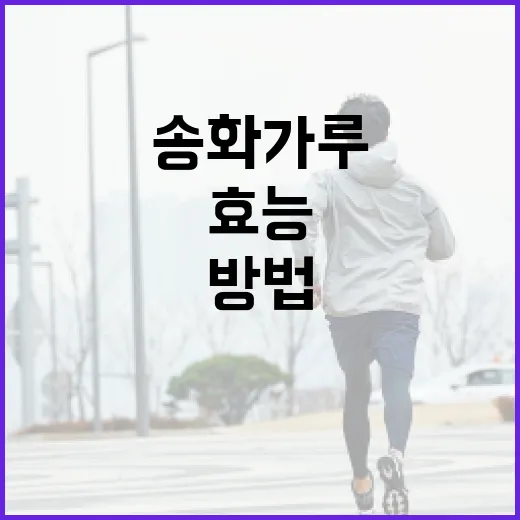 송화가루의 효능을 극대화하는 방법 - 요약