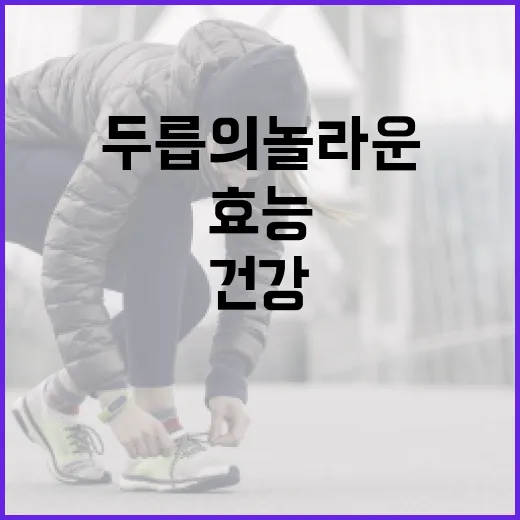 두릅의 놀라운 건강 효능을 아는 방법 - 요약