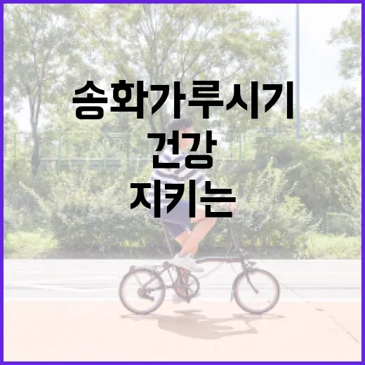 송화가루 시기에 건강을 지키는 방법 - 요약