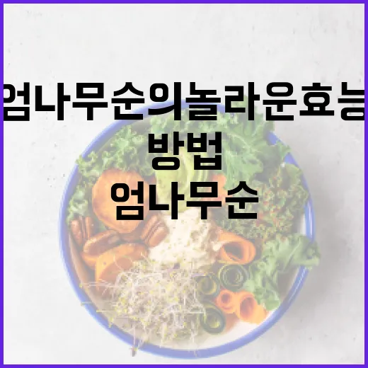 엄나무순의 놀라운 효능을 알아보는 방법 - 요약