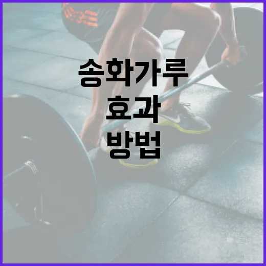 송화가루의 건강 효과와 활용 방법 - 요약