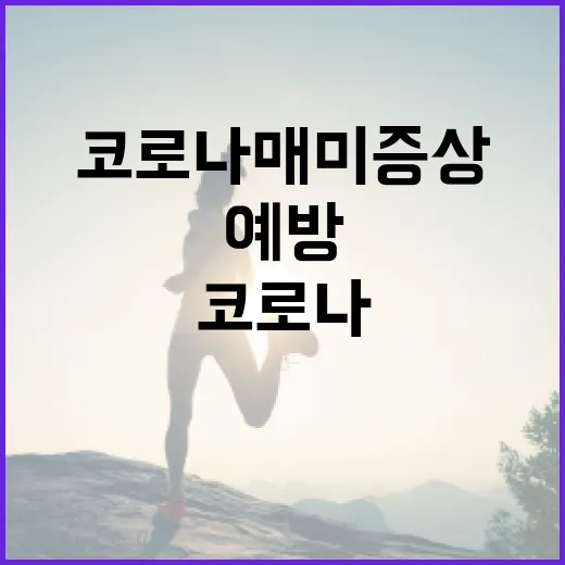 코로나 매미 증상 알아보고 예방하는 방법 - 요약