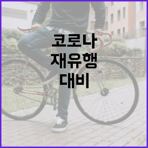 코로나 재유행에 대비하는 방법: 사전 예방과 건강 유지 - 요약