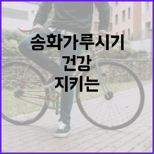 송화가루 시기에 건강을 지키는 방법 - 요약