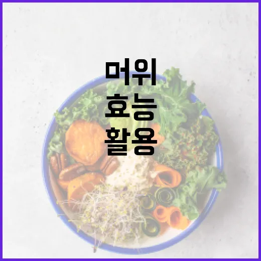 머위의 효능을 최대한 활용하는 방법 - 요약