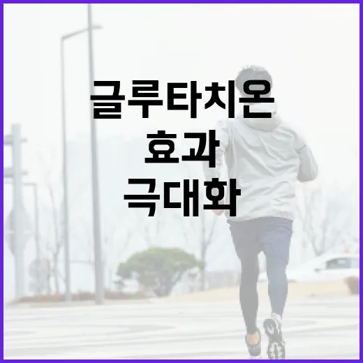 글루타치온의 효과를 극대화하는 방법 - 요약