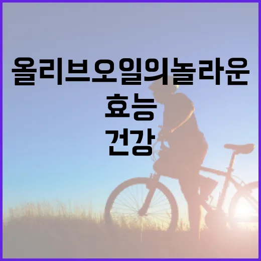 올리브오일의 놀라운 건강 효능을 이해하는 방법 - 요약