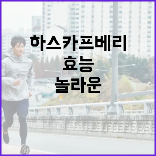 하스카프베리의 놀라운 효능을 알아보는 방법 - 요약