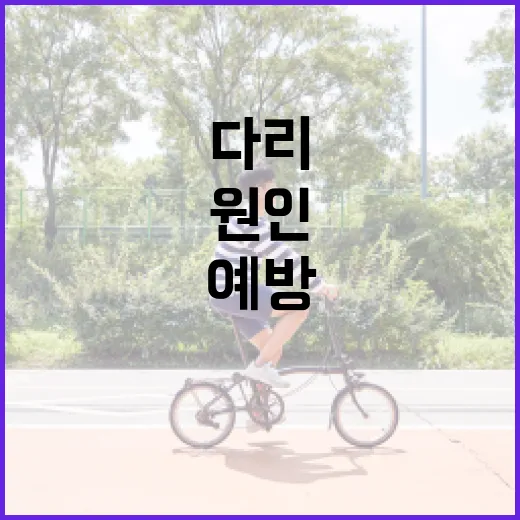 다리 쥐를 예방하는 방법: 원인과 해결책 - 요약