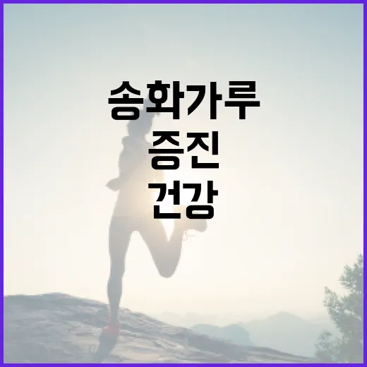 송화가루를 활용하여 건강을 증진하는 방법 - 요약