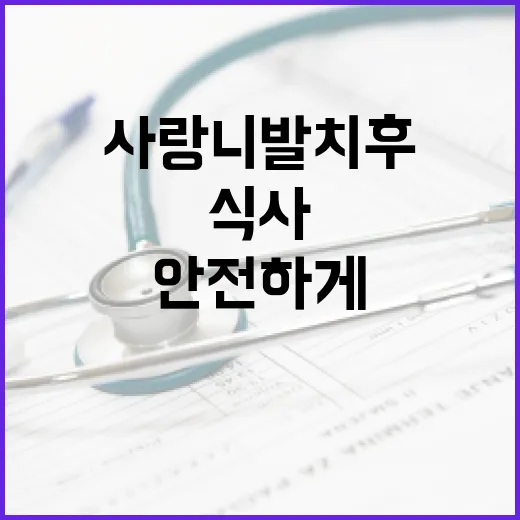 사랑니 발치 후 안전하게 식사하는 방법 - 요약