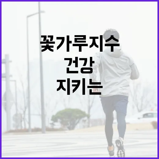 꽃가루지수를 이해하고 건강을 지키는 방법 - 요약