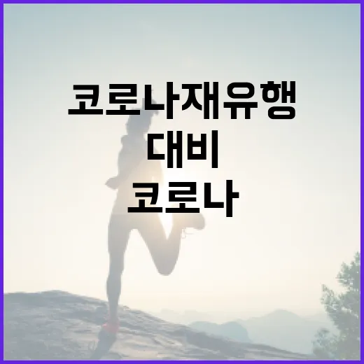 코로나 재유행을 대비하는 방법 - 요약