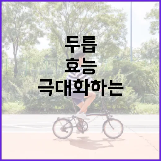 두릅의 효능을 극대화하는 방법 - 요약