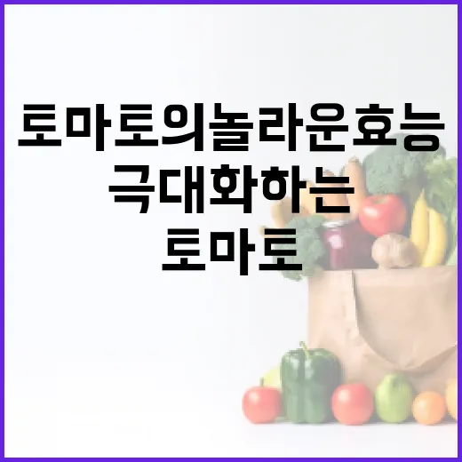 토마토의 놀라운 효능을 극대화하는 방법 - 요약