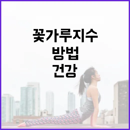 꽃가루지수를 이해하고 건강하게 생활하는 방법 - 요약