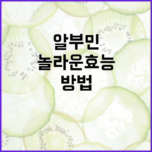 알부민의 놀라운 효능과 활용 방법 - 요약