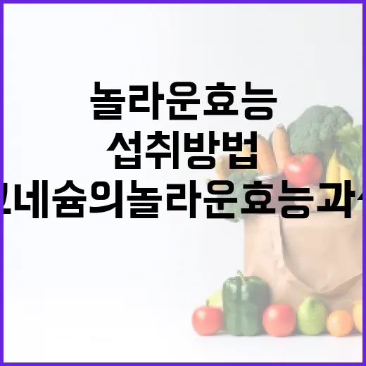 마그네슘의 놀라운 효능과 섭취 방법 - 요약
