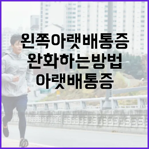 왼쪽 아랫배 통증을 완화하는 방법 - 요약